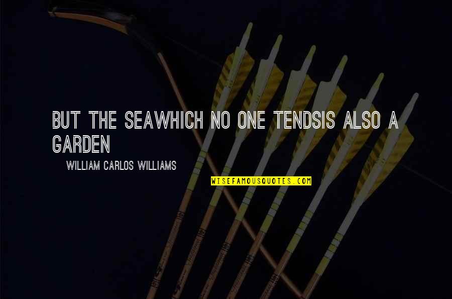 Maggiolino Volkswagen Quotes By William Carlos Williams: But the seawhich no one tendsis also a