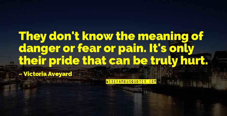 Maggioranza Qualificata Quotes By Victoria Aveyard: They don't know the meaning of danger or