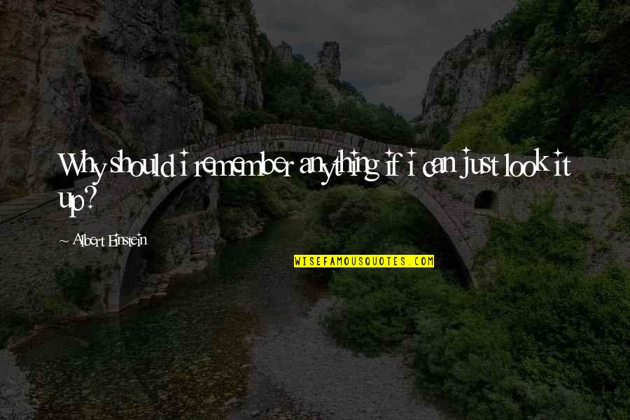 Maghraoui Driss Quotes By Albert Einstein: Why should i remember anything if i can Maghraoui Driss Quotes By Albert Einstein: Why should i remember anything if i can