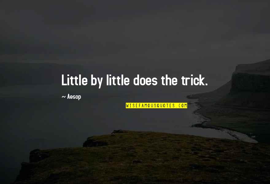 Magic Box Quotes By Aesop: Little by little does the trick.