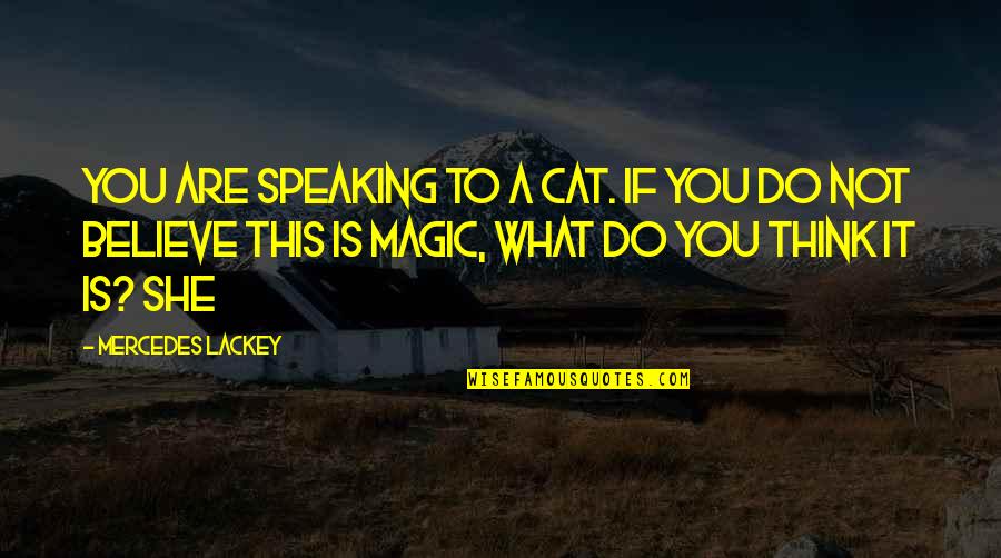 Magic Cat Quotes By Mercedes Lackey: You are speaking to a cat. If you Magic Cat Quotes By Mercedes Lackey: You are speaking to a cat. If you