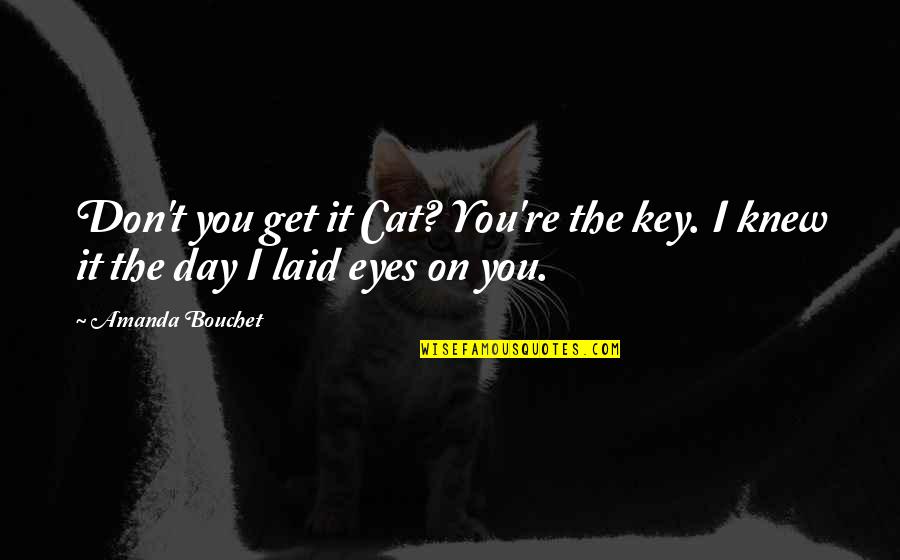 Magic In Eyes Quotes By Amanda Bouchet: Don't you get it Cat? You're the key.