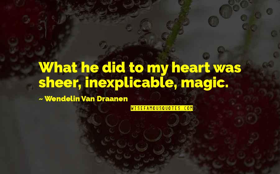 Magic Romance Quotes By Wendelin Van Draanen: What he did to my heart was sheer,