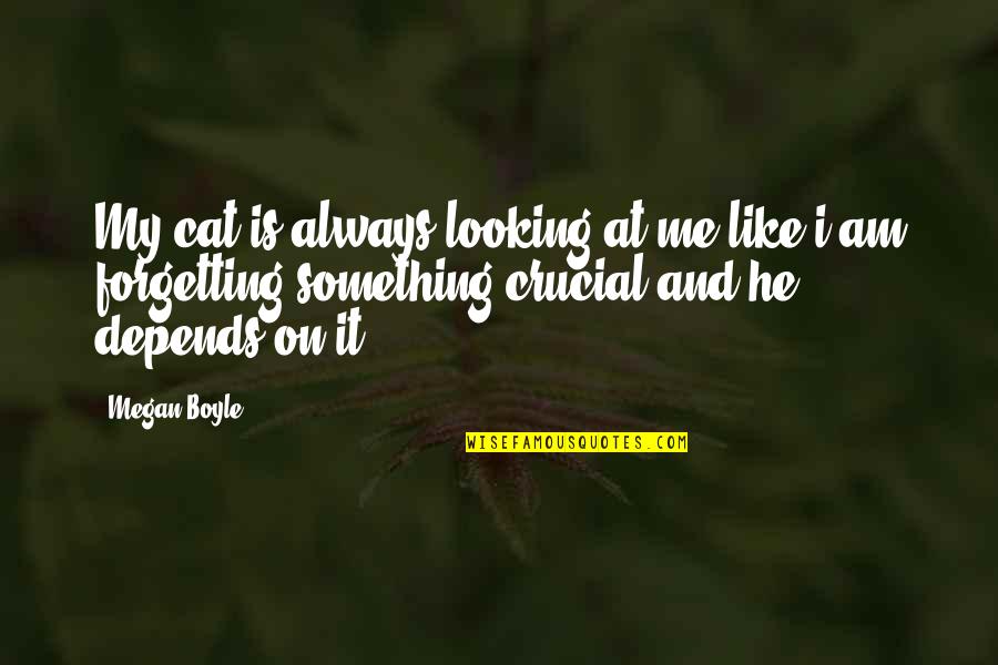 Magic Worlds Quotes By Megan Boyle: My cat is always looking at me like Magic Worlds Quotes By Megan Boyle: My cat is always looking at me like