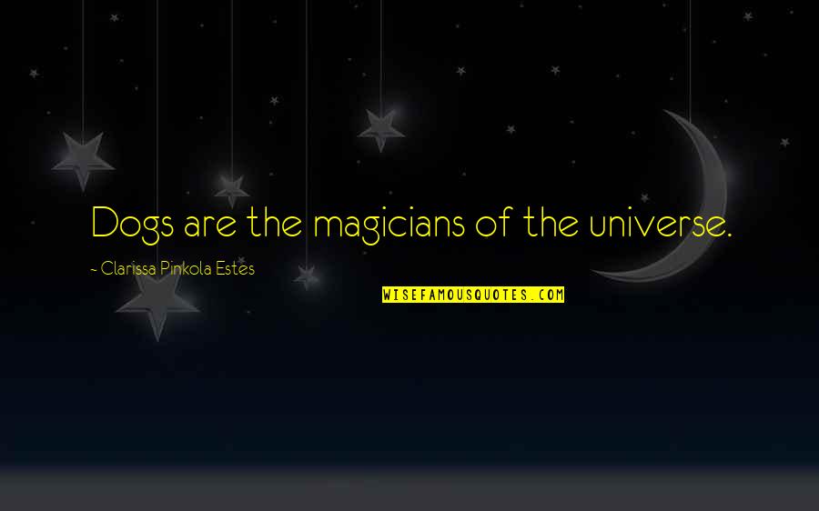 Magicians Quotes By Clarissa Pinkola Estes: Dogs are the magicians of the universe.