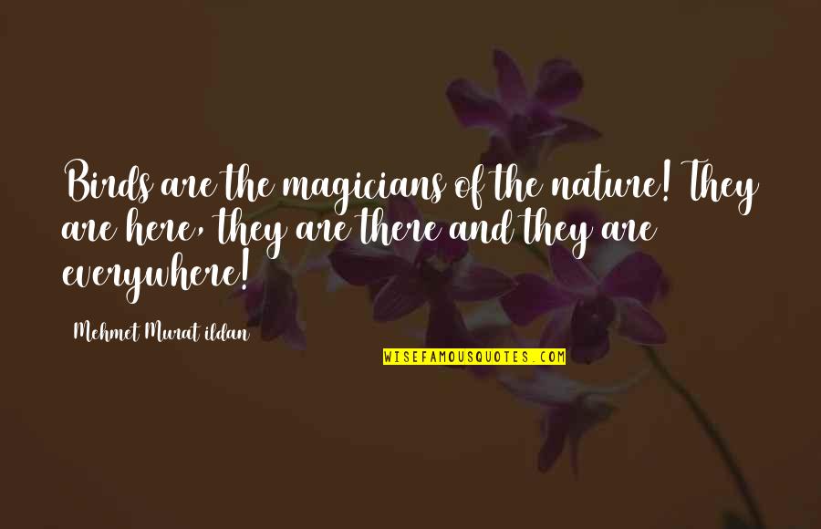 Magicians Quotes By Mehmet Murat Ildan: Birds are the magicians of the nature! They