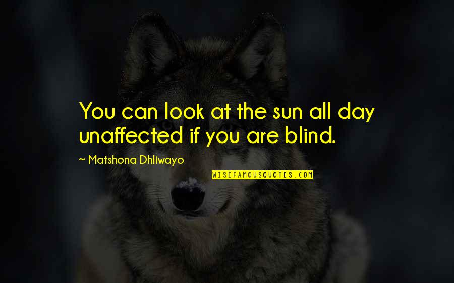 Magnamity Quotes By Matshona Dhliwayo: You can look at the sun all day