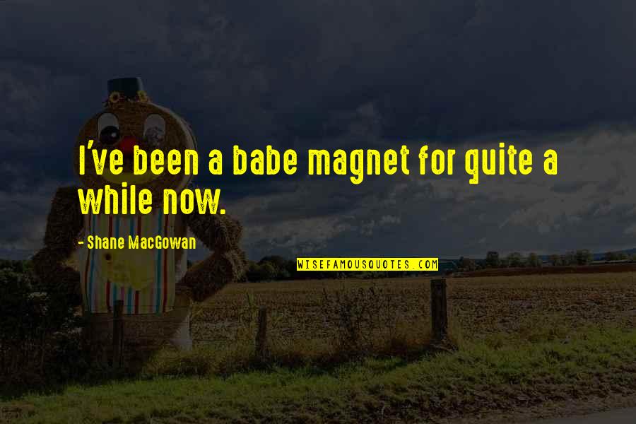 Magnet Quotes By Shane MacGowan: I've been a babe magnet for quite a