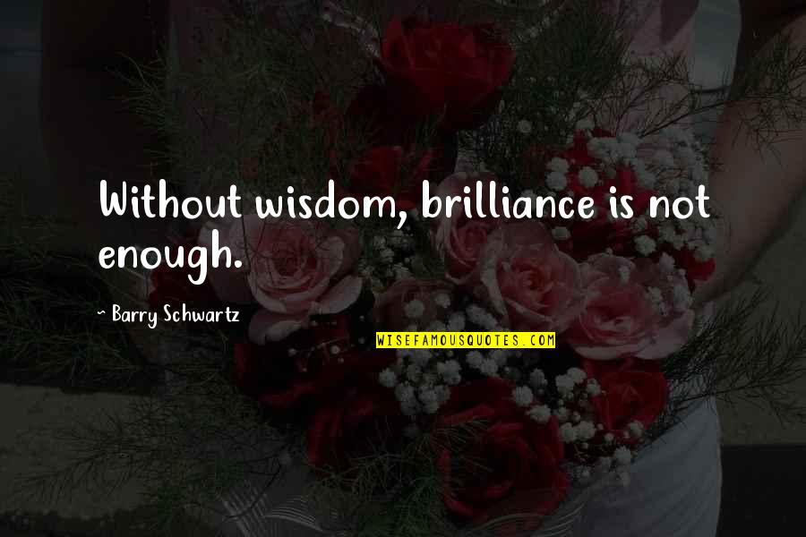 Magnet Schools Quotes By Barry Schwartz: Without wisdom, brilliance is not enough.