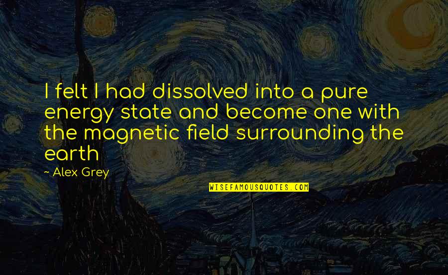 Magnetic Energy Quotes By Alex Grey: I felt I had dissolved into a pure