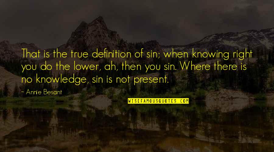 Magnier Quotes By Annie Besant: That is the true definition of sin; when Magnier Quotes By Annie Besant: That is the true definition of sin; when