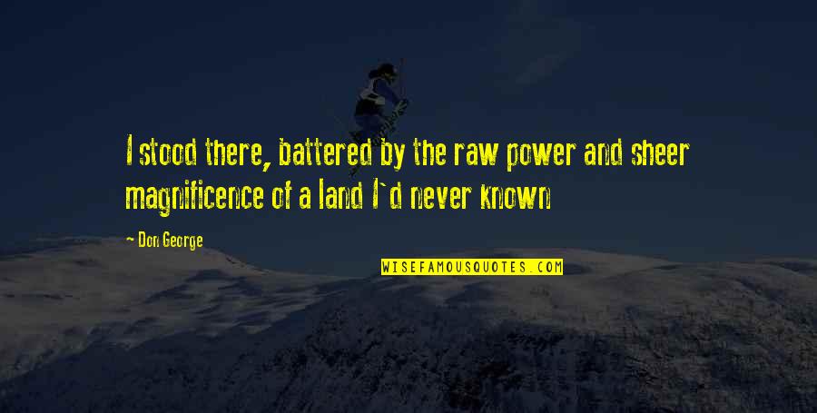 Magnificence Quotes By Don George: I stood there, battered by the raw power Magnificence Quotes By Don George: I stood there, battered by the raw power