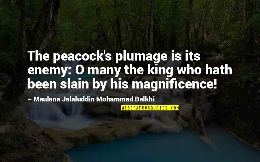 Magnificence Quotes By Maulana Jalaluddin Mohammad Balkhi: The peacock's plumage is its enemy: O many