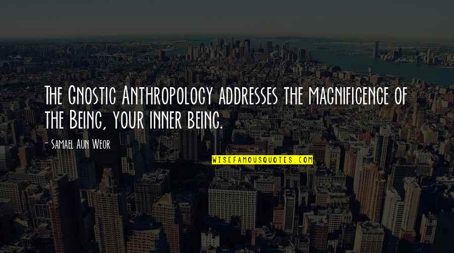 Magnificence Quotes By Samael Aun Weor: The Gnostic Anthropology addresses the magnificence of the