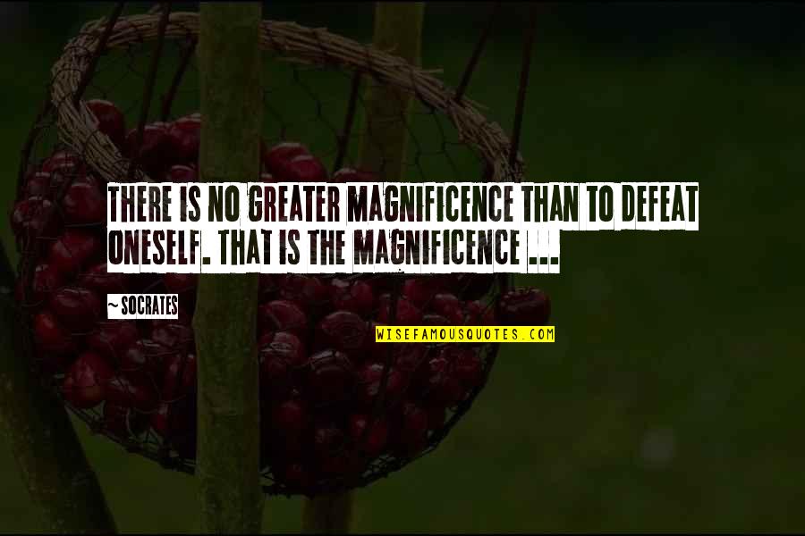 Magnificence Quotes By Socrates: There is no greater magnificence than to defeat