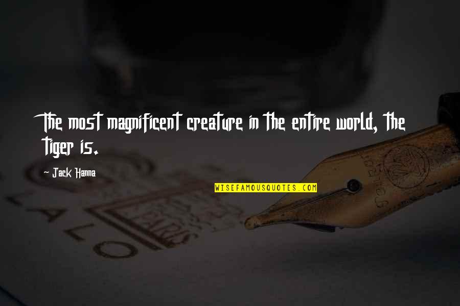 Magnificent Quotes By Jack Hanna: The most magnificent creature in the entire world,
