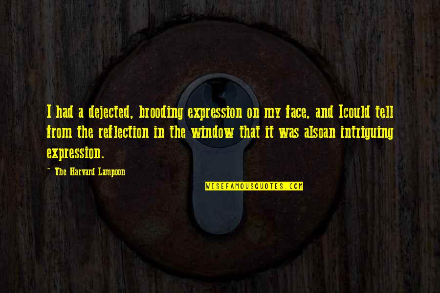Magnifier For Computer Quotes By The Harvard Lampoon: I had a dejected, brooding expression on my Magnifier For Computer Quotes By The Harvard Lampoon: I had a dejected, brooding expression on my
