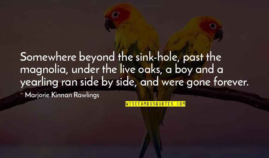 Magnolia Quotes By Marjorie Kinnan Rawlings: Somewhere beyond the sink-hole, past the magnolia, under Magnolia Quotes By Marjorie Kinnan Rawlings: Somewhere beyond the sink-hole, past the magnolia, under