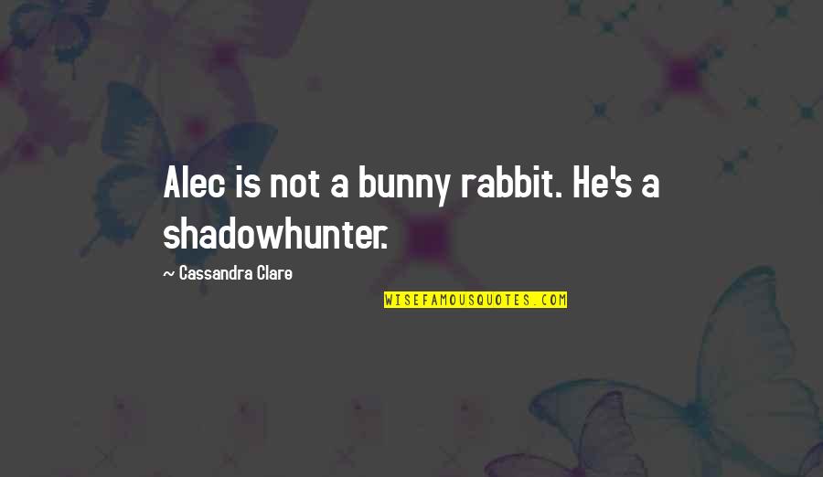 Magnus And Alec Quotes By Cassandra Clare: Alec is not a bunny rabbit. He's a