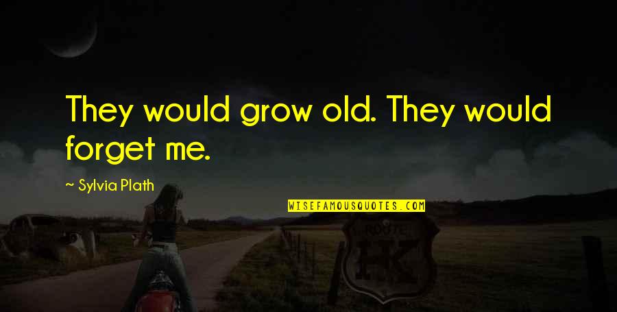 Magorian Font Quotes By Sylvia Plath: They would grow old. They would forget me.