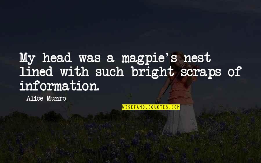 Magpies Quotes By Alice Munro: My head was a magpie's nest lined with