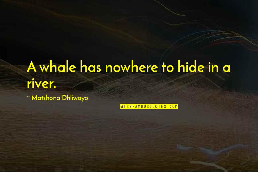 Magritteish Quotes By Matshona Dhliwayo: A whale has nowhere to hide in a Magritteish Quotes By Matshona Dhliwayo: A whale has nowhere to hide in a