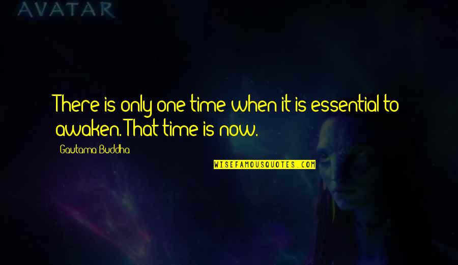 Maguilacuties Quotes By Gautama Buddha: There is only one time when it is