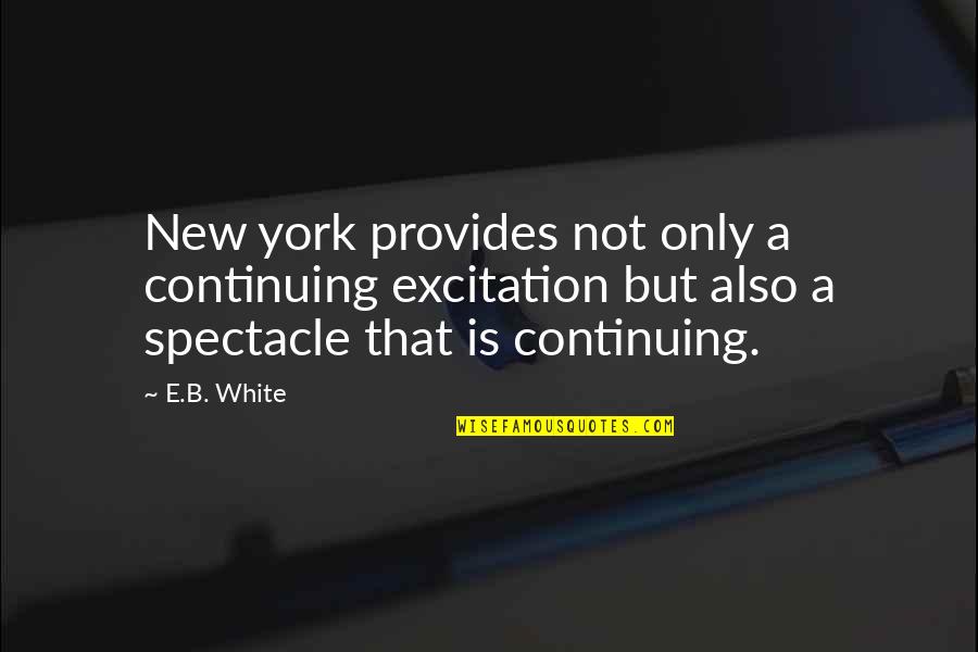 Maha Mantra Mrityunjaya Quotes By E.B. White: New york provides not only a continuing excitation