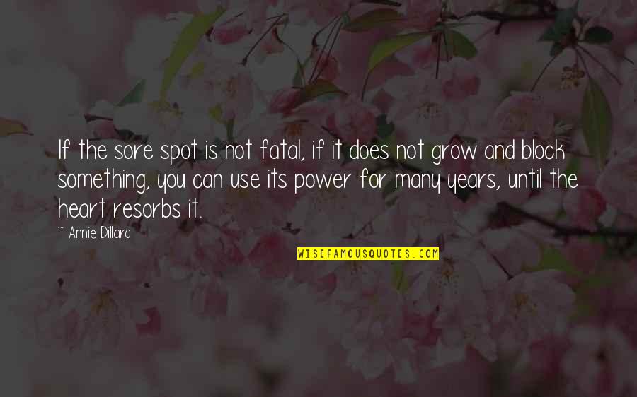 Mahal Kita Pero Manhid Ka Quotes By Annie Dillard: If the sore spot is not fatal, if