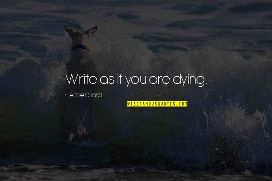 Mahal Mo Pa Rin Siya Quotes By Annie Dillard: Write as if you are dying.