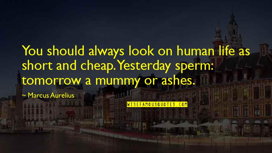 Mahalaga Ka Quotes By Marcus Aurelius: You should always look on human life as