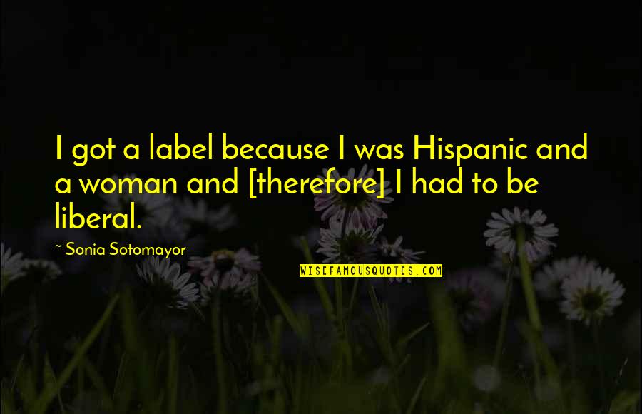 Mahalin Ang Anak Quotes By Sonia Sotomayor: I got a label because I was Hispanic