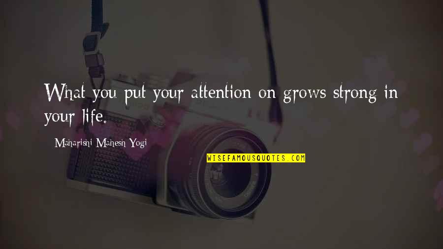 Maharishi Mahesh Yogi Quotes By Maharishi Mahesh Yogi: What you put your attention on grows strong