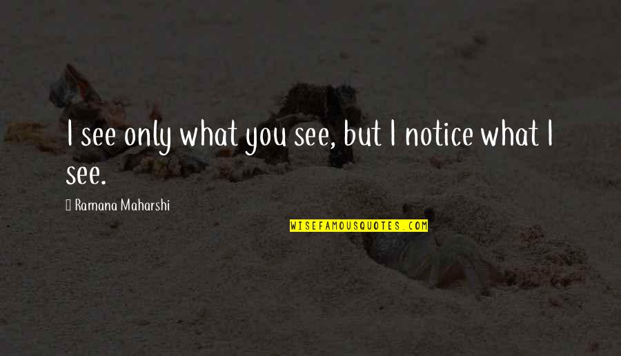 Maharshi Quotes By Ramana Maharshi: I see only what you see, but I