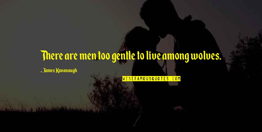 Mahayana And Hinayana Quotes By James Kavanaugh: There are men too gentle to live among