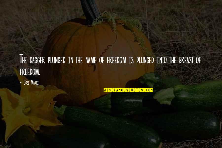 Mahendra Singh Dhoni Quotes By Jose Marti: The dagger plunged in the name of freedom