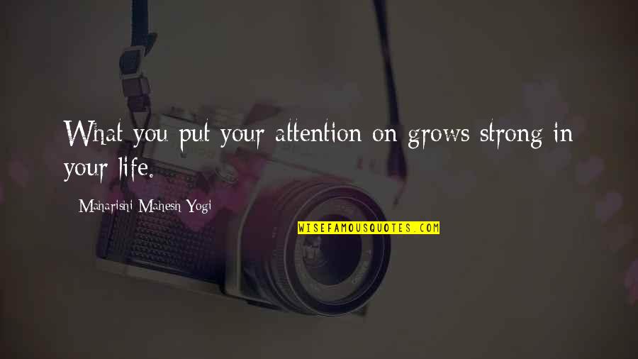 Mahesh Yogi Quotes By Maharishi Mahesh Yogi: What you put your attention on grows strong