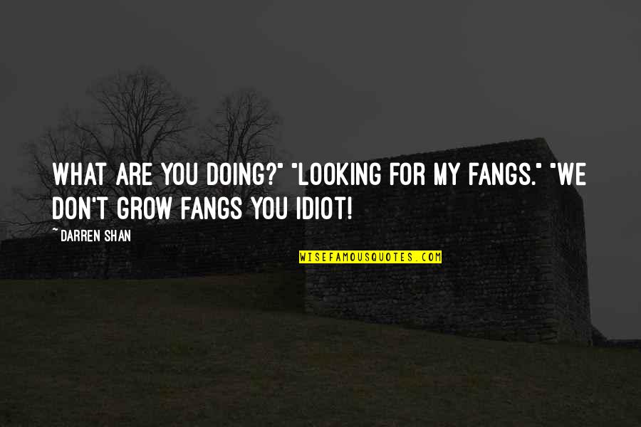 Mahican Quotes By Darren Shan: What are you doing?" "Looking for my fangs."