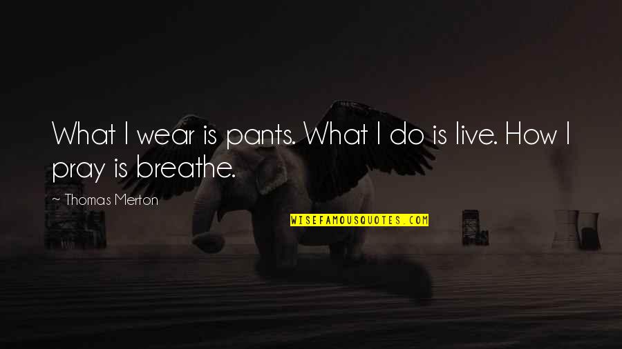 Mahieu Coat Quotes By Thomas Merton: What I wear is pants. What I do