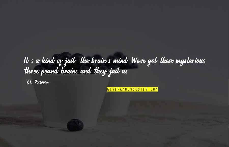 Mahluklar Quotes By E.L. Doctorow: It's a kind of jail, the brain's mind.