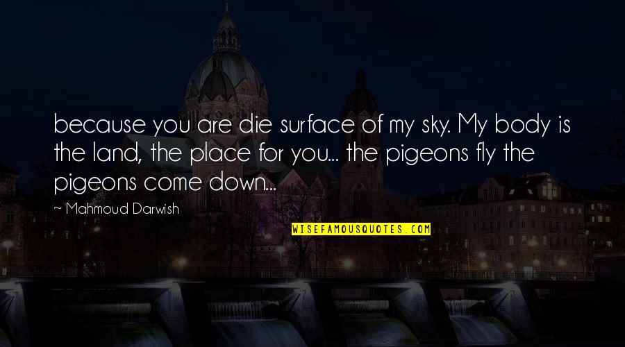 Mahmoud Darwish Poetry Quotes By Mahmoud Darwish: because you are die surface of my sky.