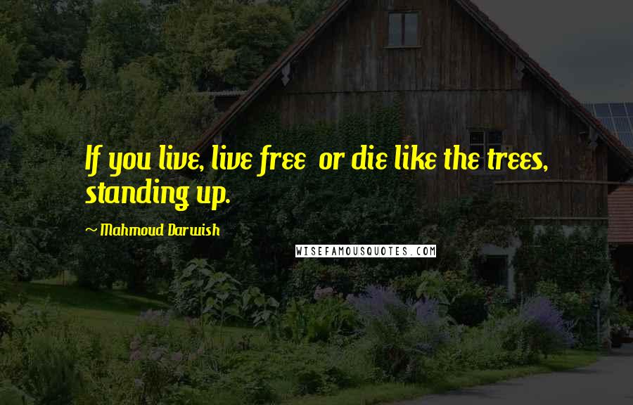 Mahmoud Darwish quotes: If you live, live free or die like the trees, standing up.