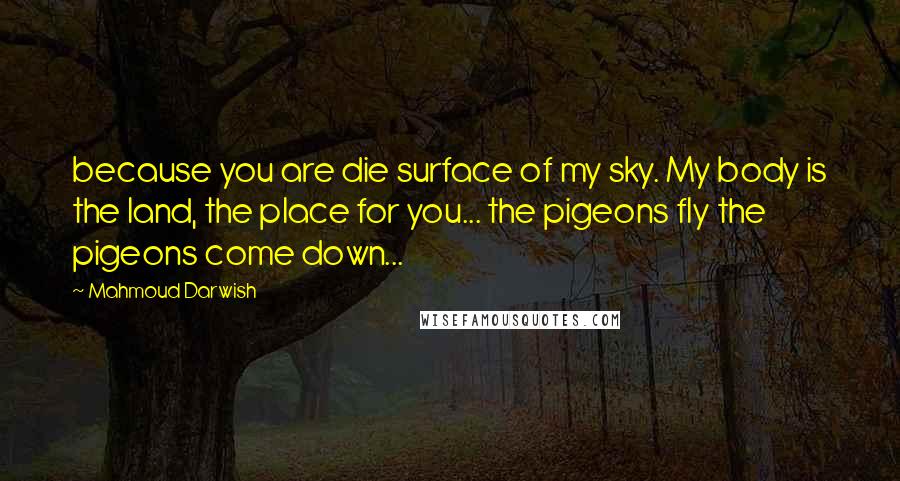 Mahmoud Darwish quotes: because you are die surface of my sky. My body is the land, the place for you... the pigeons fly the pigeons come down...