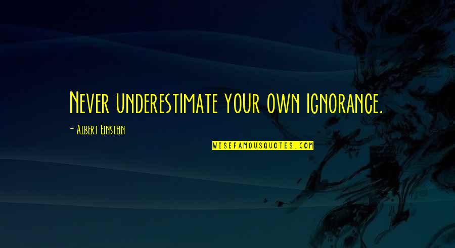 Mahmud Shabestari Quotes By Albert Einstein: Never underestimate your own ignorance.