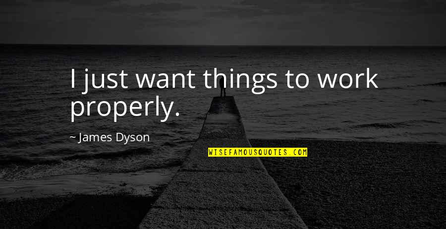 Mahnken In Chinese Quotes By James Dyson: I just want things to work properly.