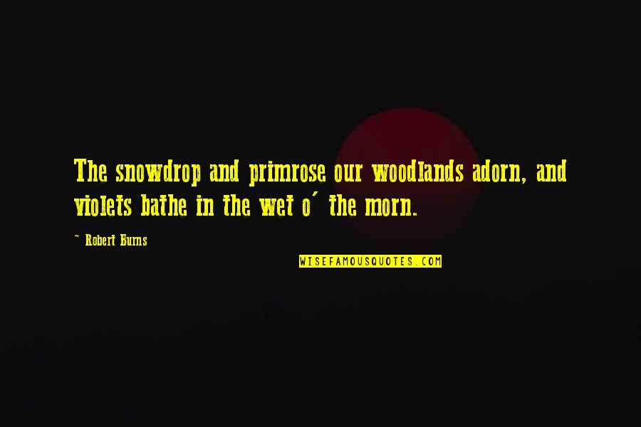 Mahnken In Chinese Quotes By Robert Burns: The snowdrop and primrose our woodlands adorn, and