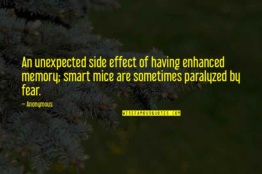 Maiden Names For Women Quotes By Anonymous: An unexpected side effect of having enhanced memory; Maiden Names For Women Quotes By Anonymous: An unexpected side effect of having enhanced memory;