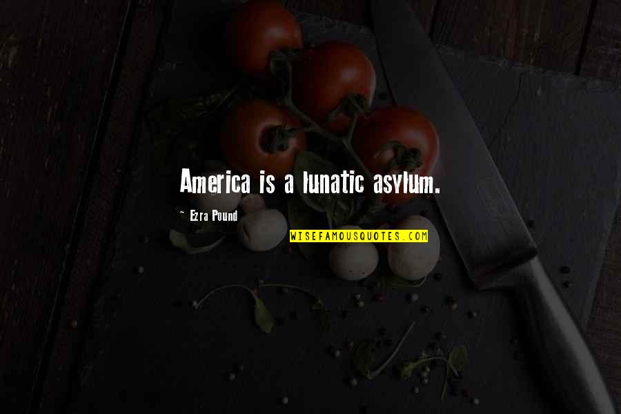 Maija Riika Quotes By Ezra Pound: America is a lunatic asylum.