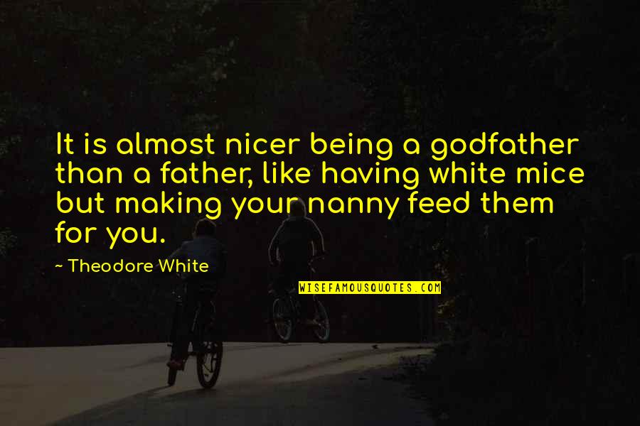 Mailbox Love Quotes By Theodore White: It is almost nicer being a godfather than