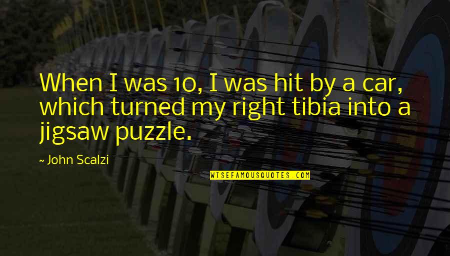 Maimane Mccoys Quotes By John Scalzi: When I was 10, I was hit by